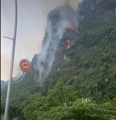 cháy rừng.jpg