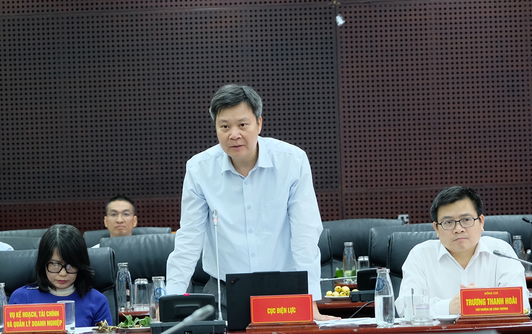 dai_dien_cuc_dien_luc_bo_cong_thuong_phat_bieu.jpg