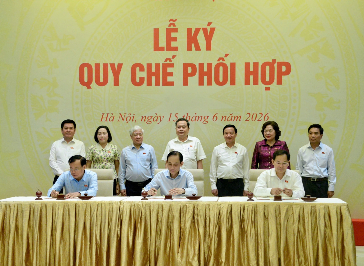 doi_ngoai_quoc_hoi_phai_tao_gia_tri_gia_tang_cho_dat_nuoc_ky_quy_che.jpg