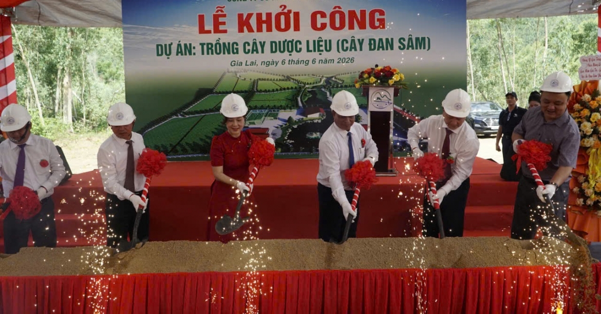 khoi_cong_du_an_trong_dan_sam_tai_xa_vinh_thanh_tinh_gia_lai.jpg