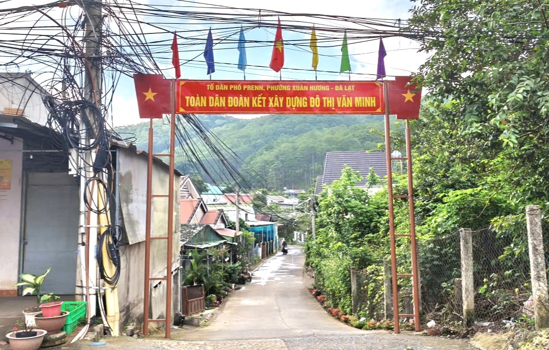 lam_dong_phan_dau_giam_hon_50_thon_to_dan_pho_2.jpg