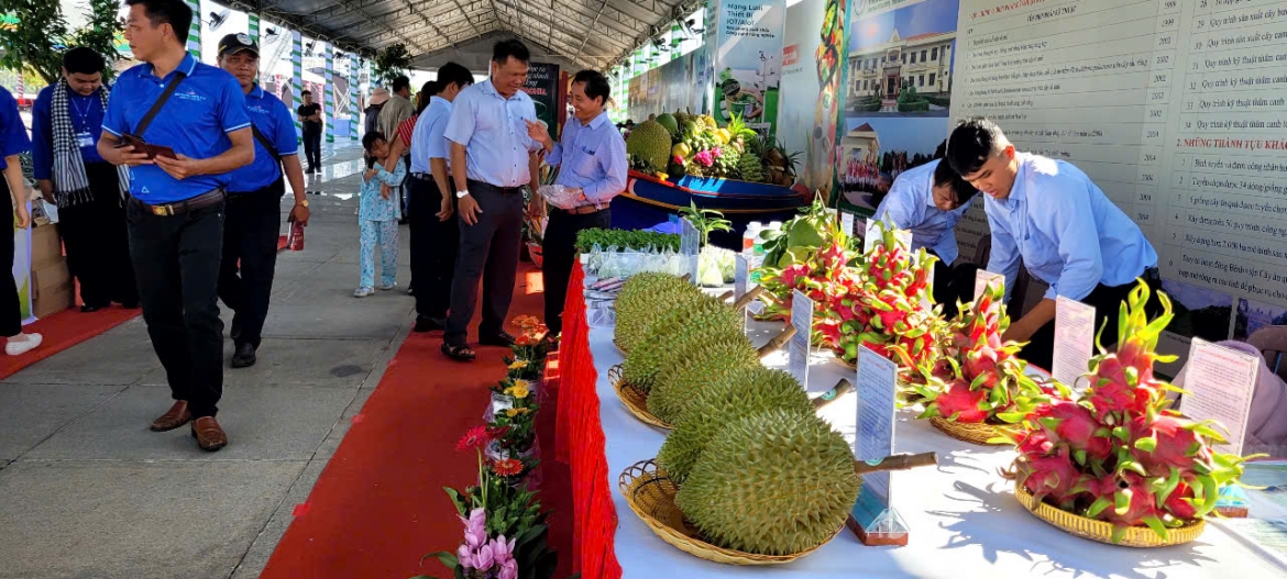 sau_rieng_la_trai_cay_chu_luc_cua_tinh_dong_thap.jpg