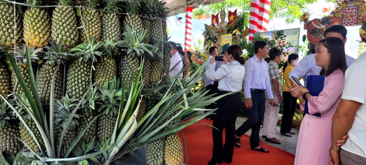 trai_dua_cua_tinh_dong_thap_co_dien_tich_san_luong_lon_nhat_khu_vuc_nam_bo.jpg