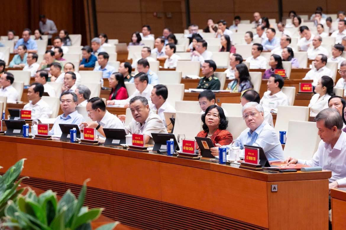 2_cap_.jpg