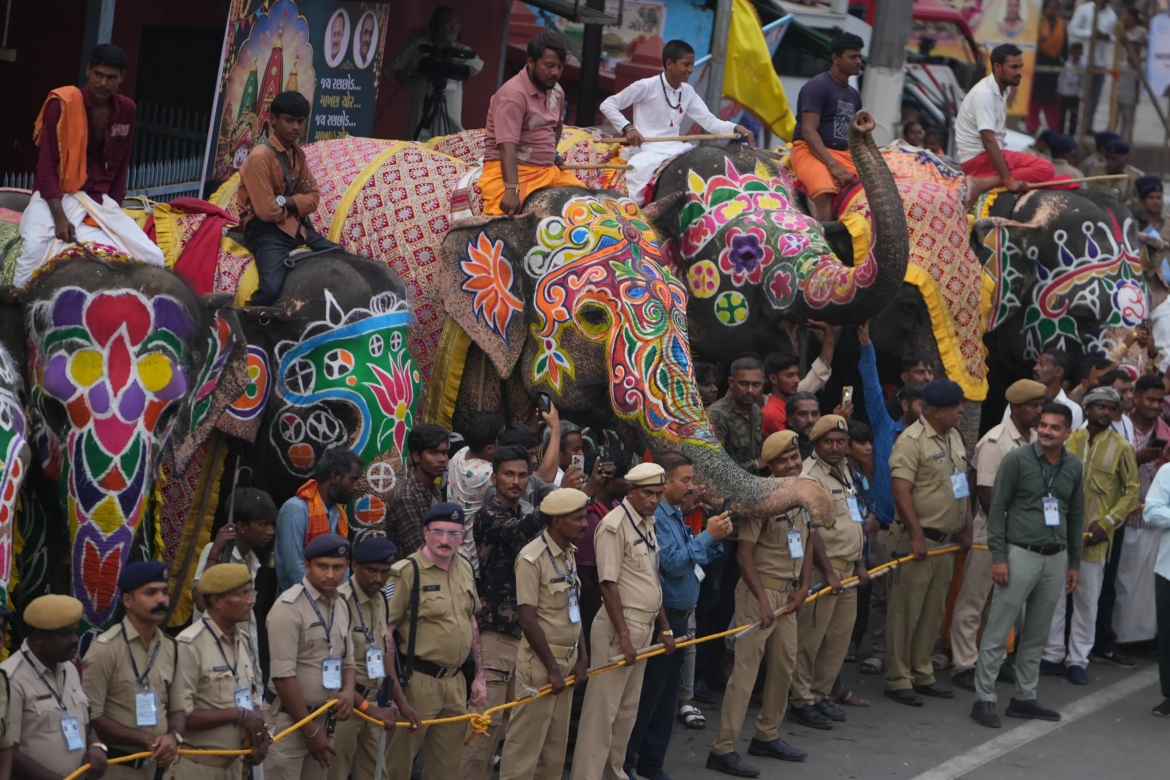 ahmedabad-elephant-1.jpg