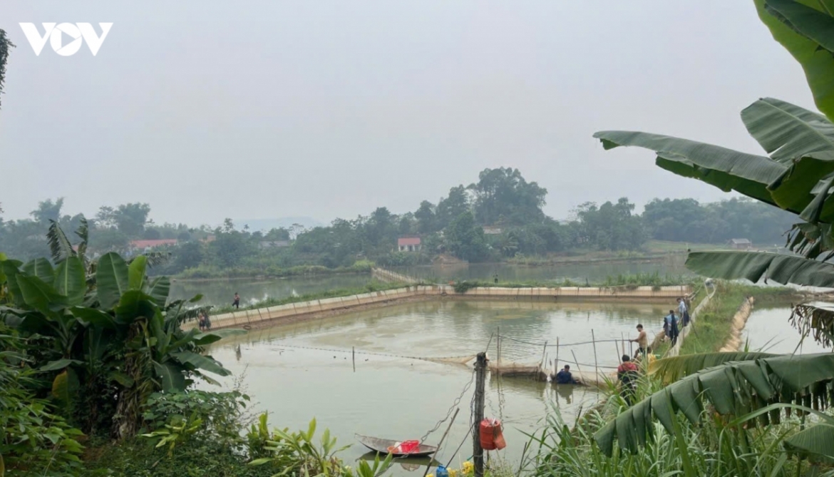 Mô hình HTX và doanh nghiệp "đồng đầu tư' giúp HTX tham gia sâu vào chuỗi giá trị
