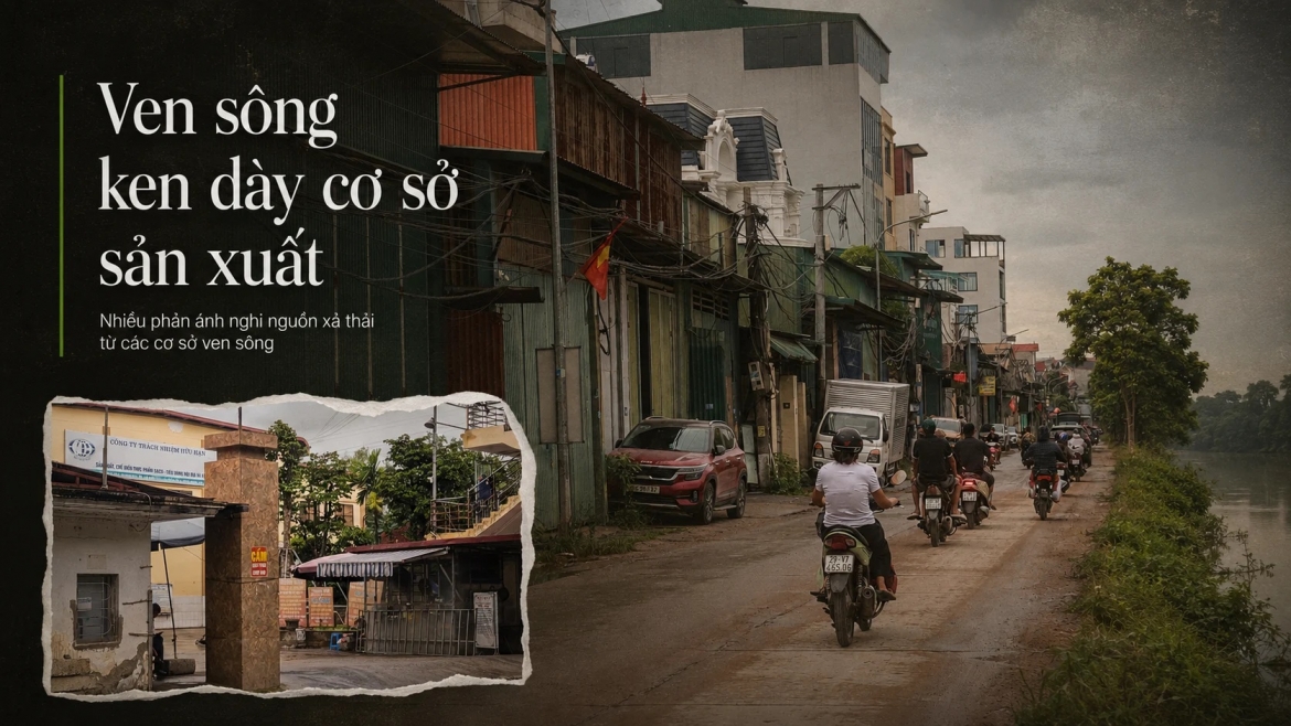 song_hoa_binh_10.jpg