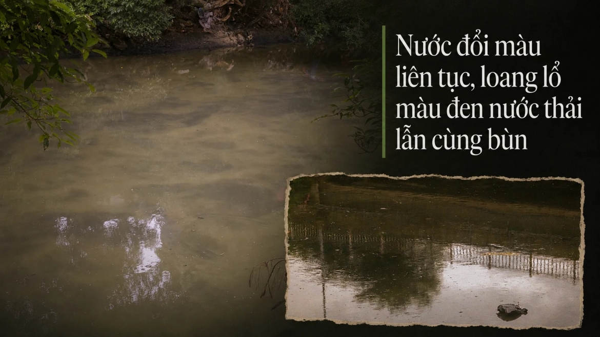 song_hoa_binh_4.jpg