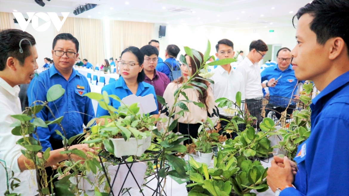 thanh nien khoi nghiep.jpg