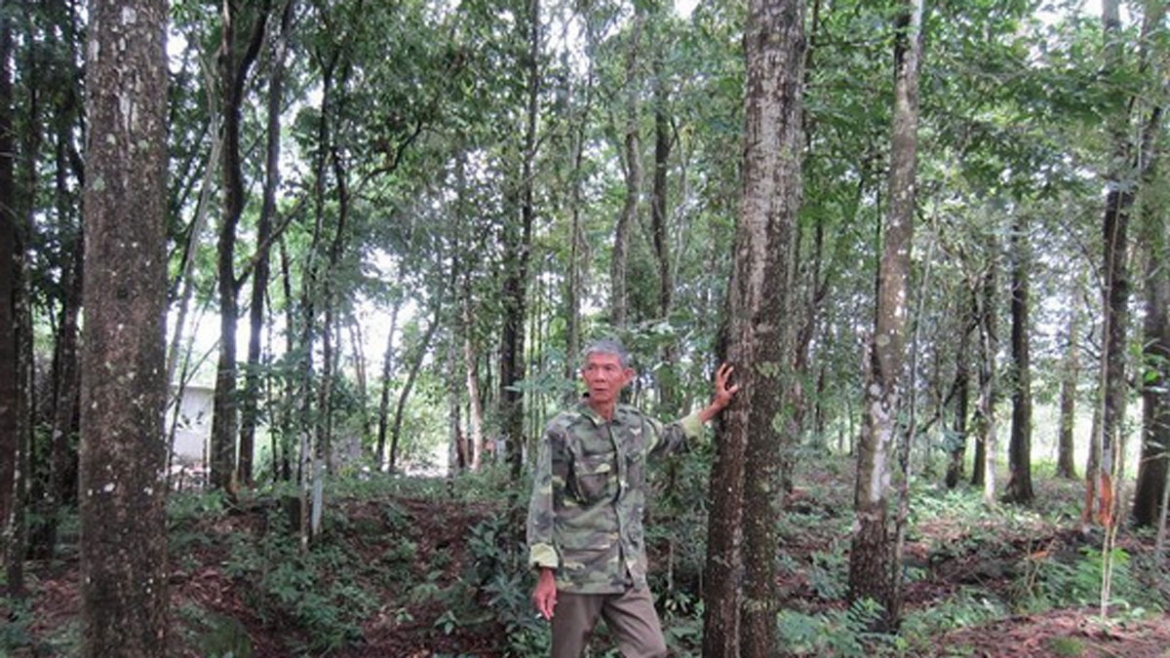 thung-1.jpg