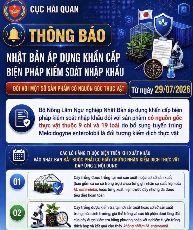 9_8_anh_2_20260809080003.jpg