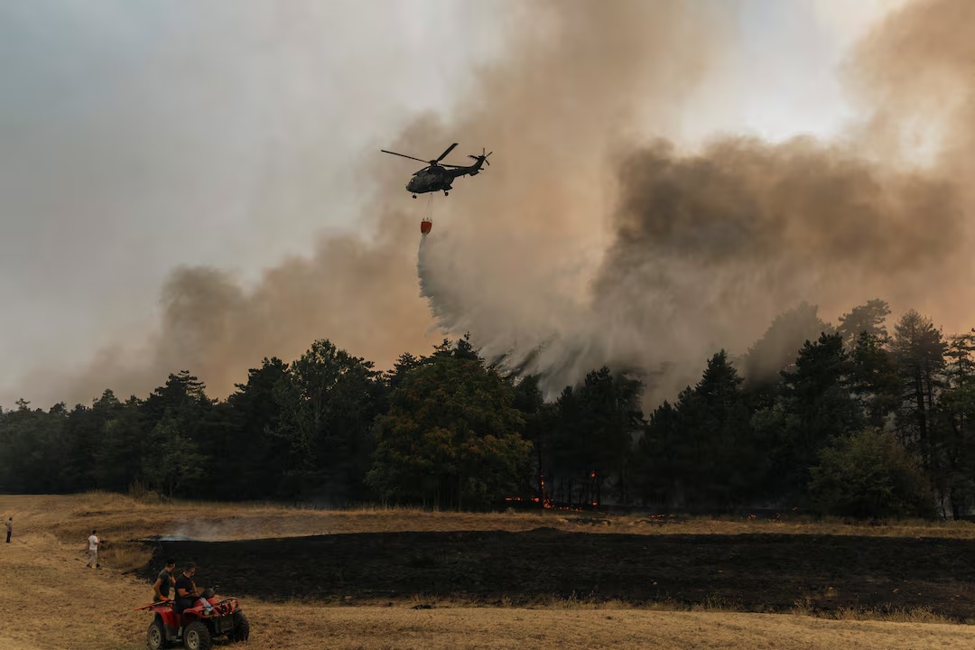 anh_theo_reuters_20260823040524.jpg