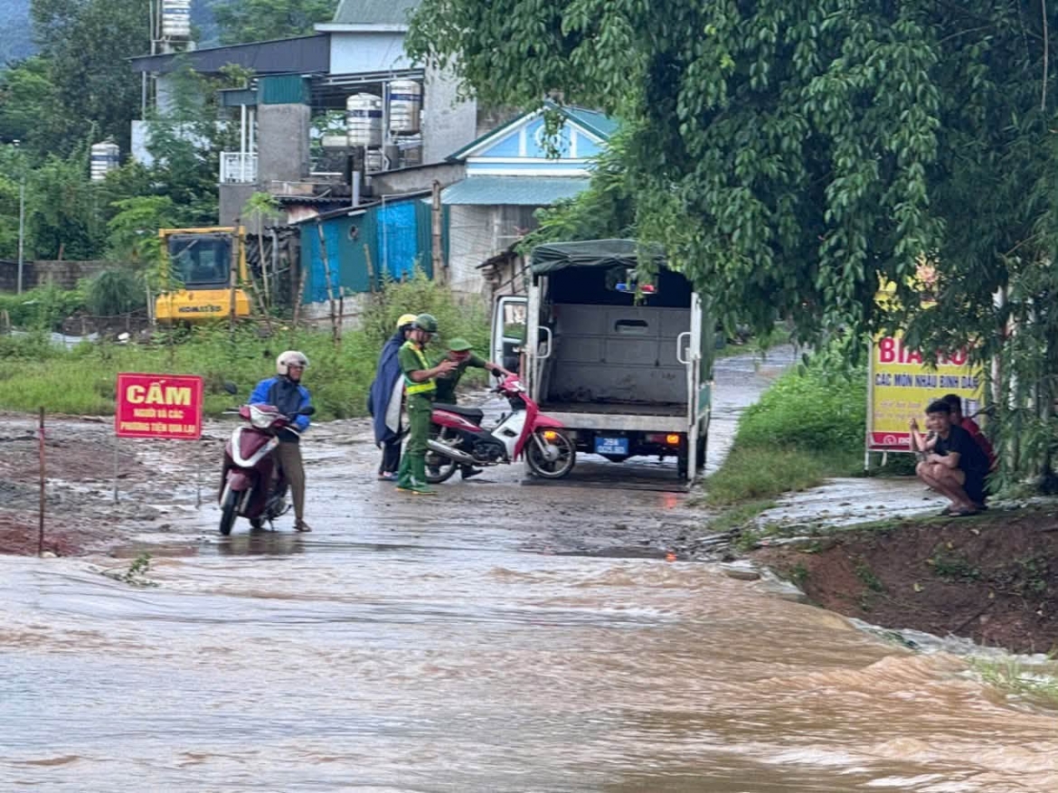 ca-pt2.jpg