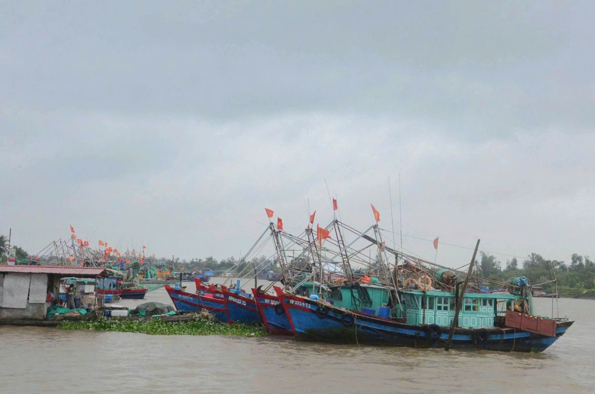 cac-tau-thuyen-tranh-tru-an-toan-tren-dia-ban-xa-kien-hai-hai-phong.jpg