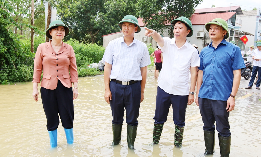 ct-hdnd-tinh-kiem-tra-tien-luc.jpg