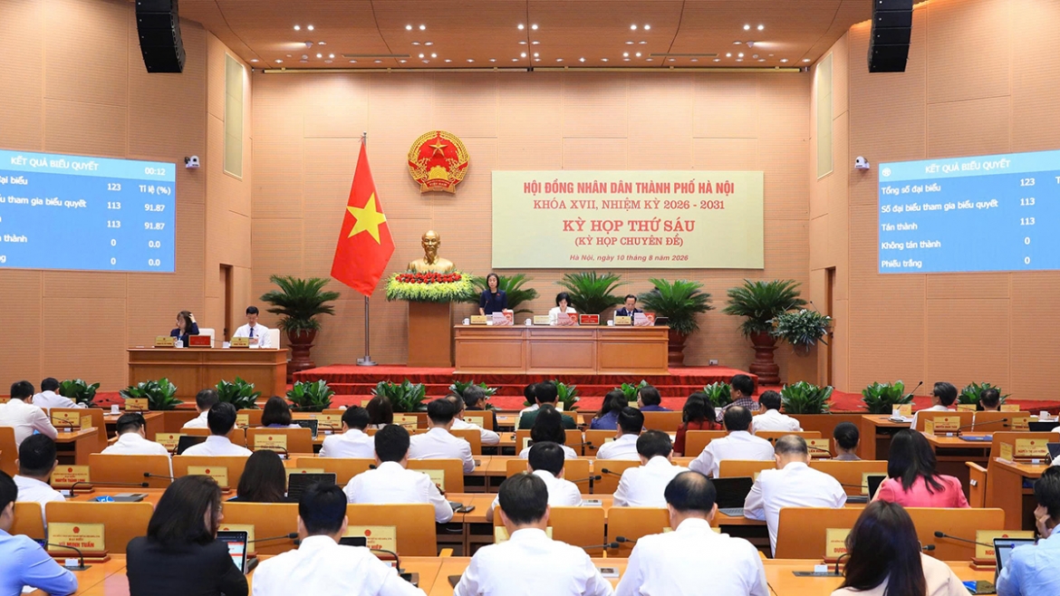 dai-bieu-bieu-quyet.jpg