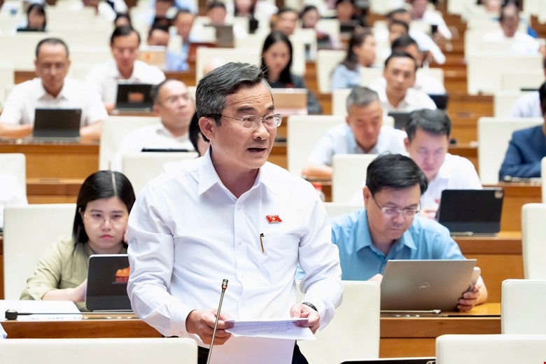 dai-bieu-nguyen-phi-hung-da-nang.jpg