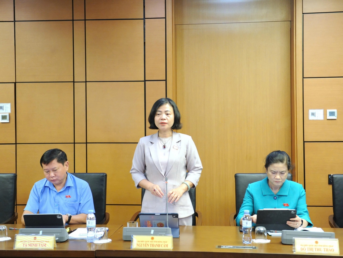 dai-bieu-thanh-cam.jpg