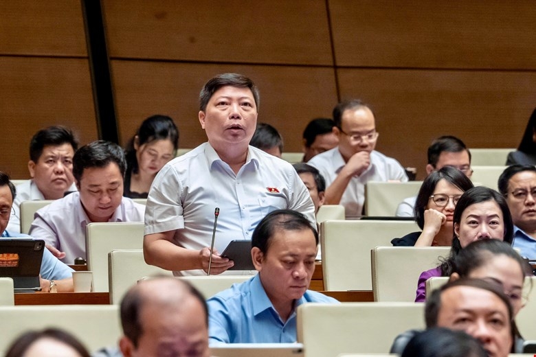 dai-bieu-vu-trubg-2.jpg