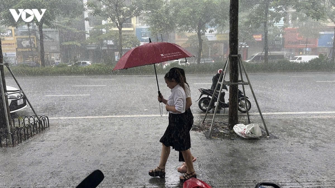 ha-noi-mua-to.jpg