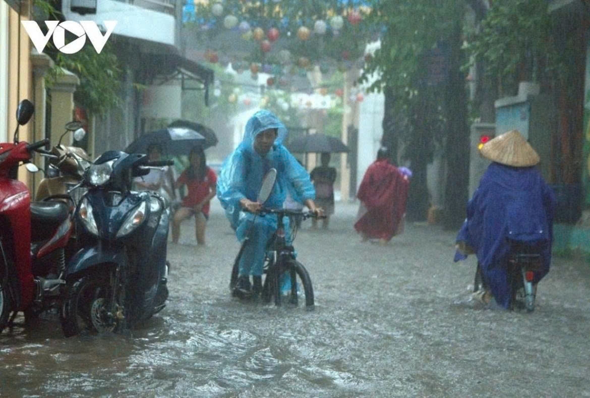 hanoi-mua-to.jpg