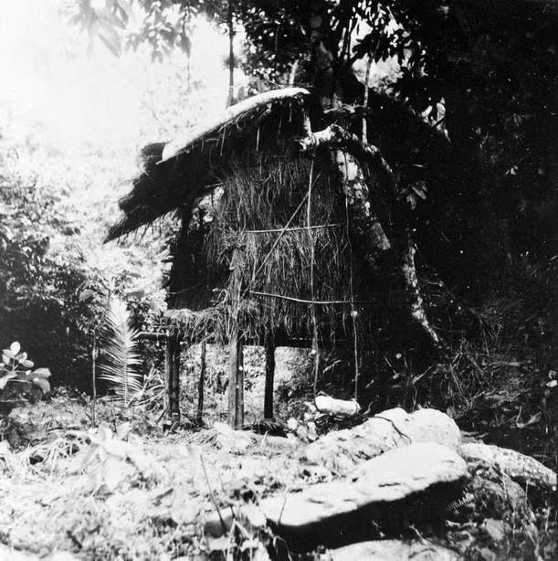 lan-khuoi-nam.jpg