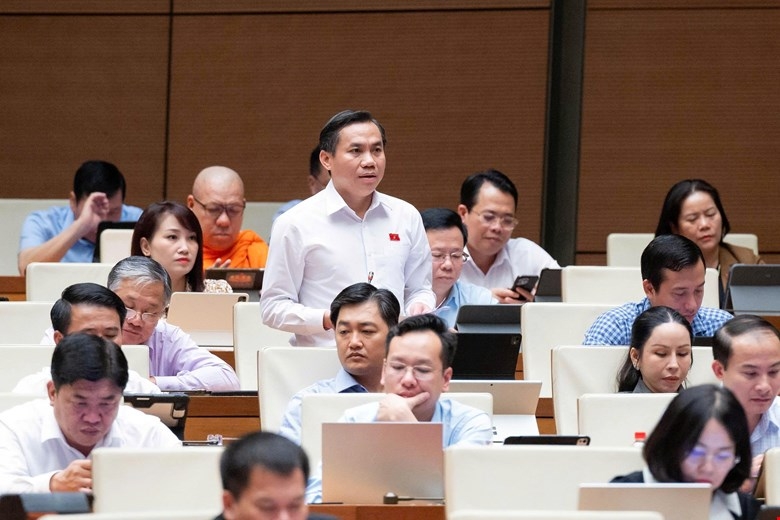 le-cong-dinh.jpg