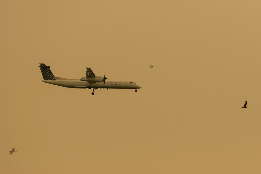Porter Airlines hủy chuyến do trẻ không thắt dây an toàn. Ảnh minh họa: Reuters