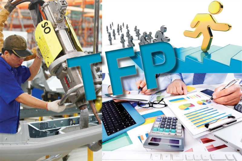 tfp-1734334887425.jpg