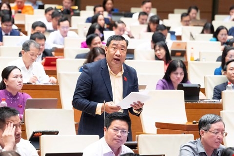 thach-phuoc-binh-21.jpg