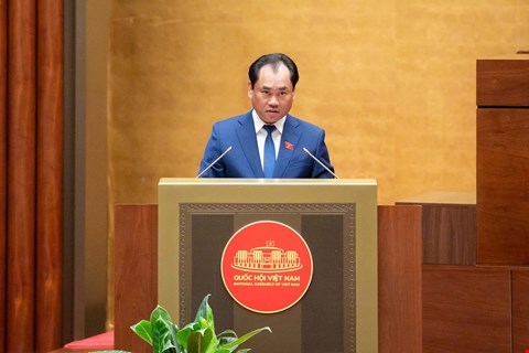 trinh-viet-hung-19.jpg