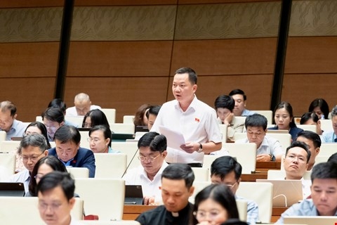 trinh-xuan-an-5.jpg