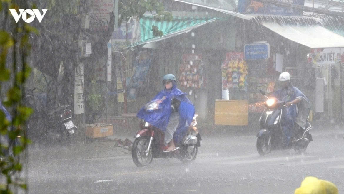 bac-bo_7.jpg