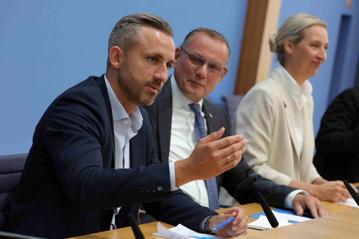 germany-afd.jpg