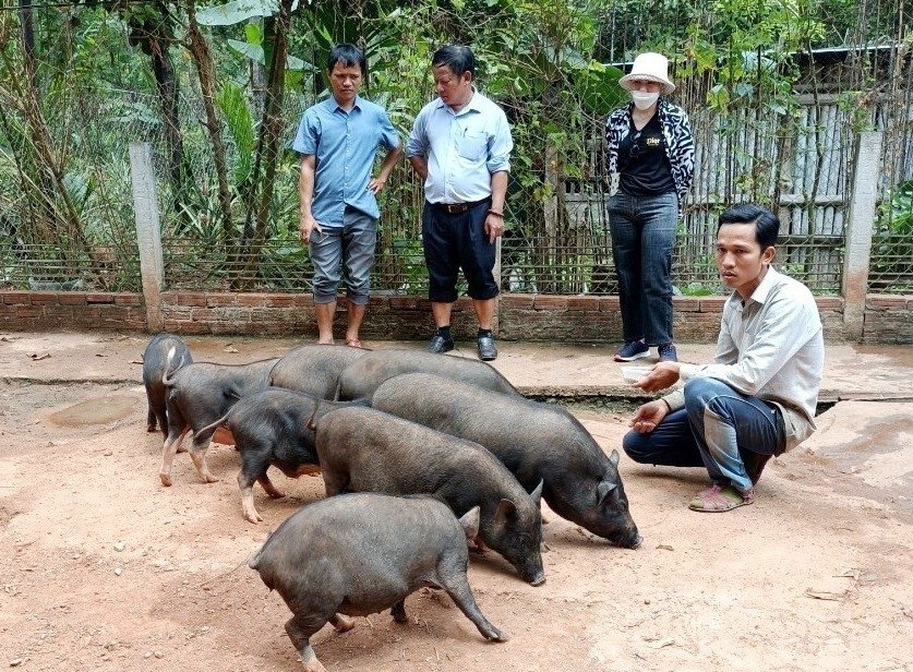 mien-nui-05.jpg