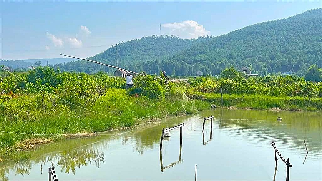 xa-quynh-phu.jpg