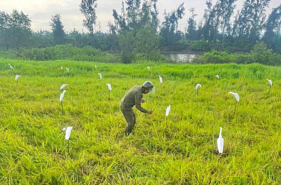 xa-thien-cam.jpg