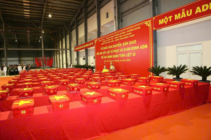 hai-cot-1.jpg