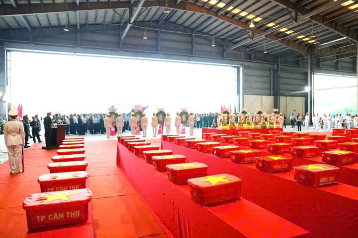 hai-cot-10.jpg