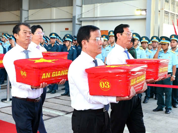 hai-cot-3.jpg