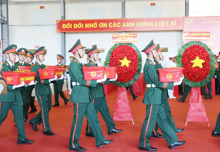 hai-cot-5.jpg