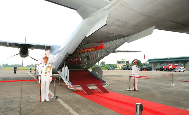 hai-cot-7.jpg