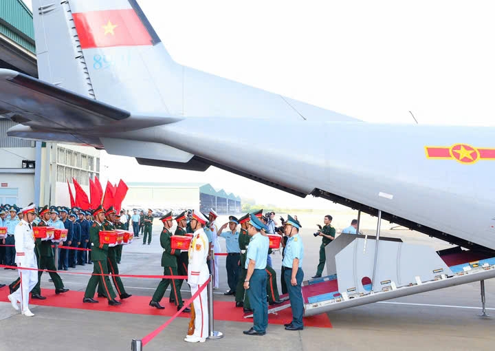 hai-cot-9.jpg