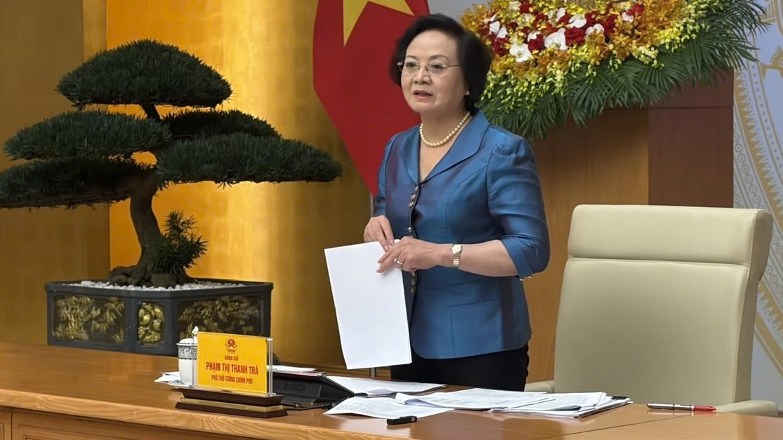 pho-thu-tuong-pham-thi-thanh-tra_2.jpg