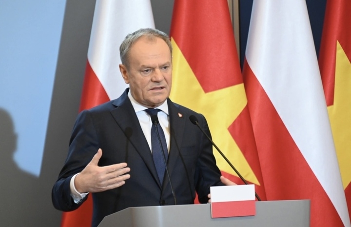 tusk.jpeg