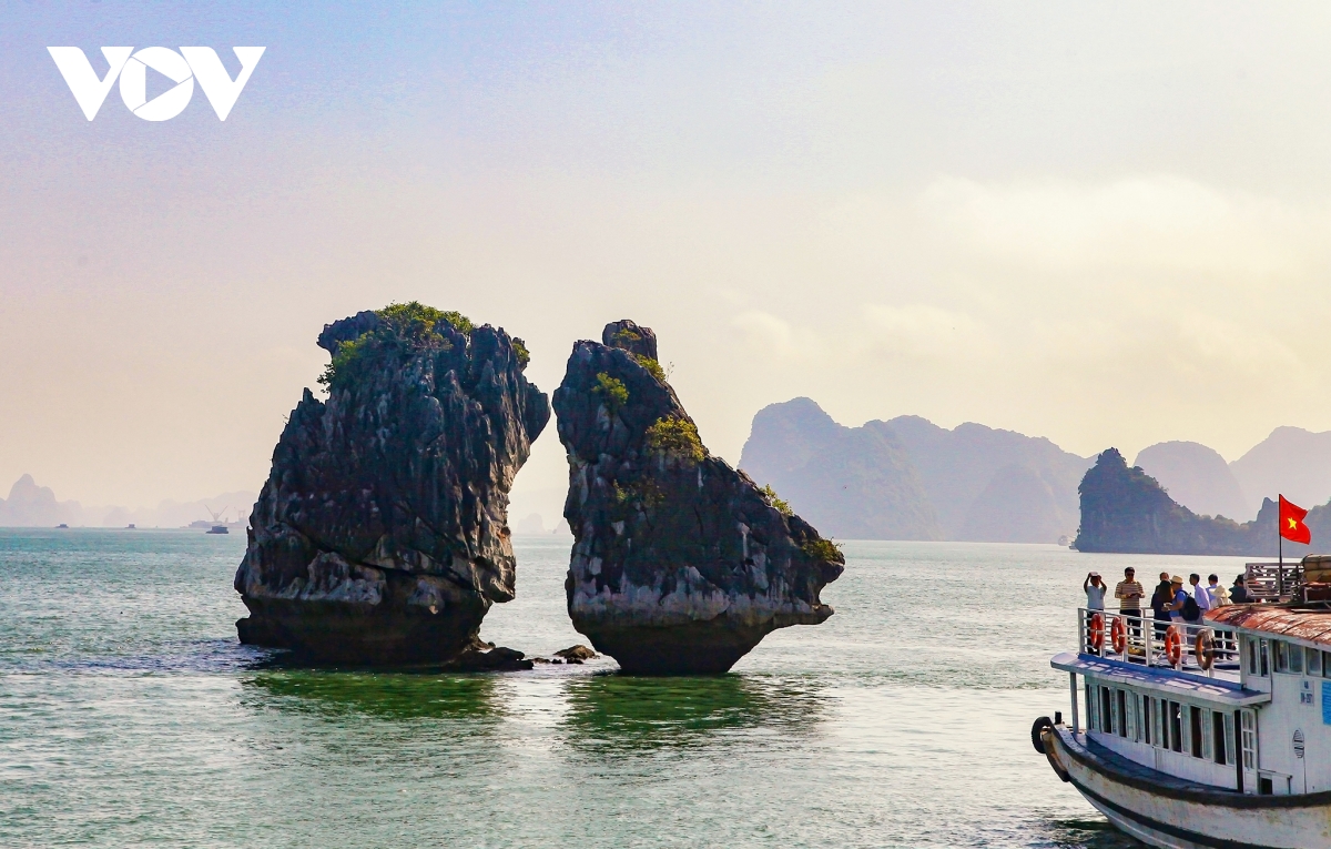 chu tich world travel awards giai thich ly do vinh danh tong cuc du lich hinh anh 2