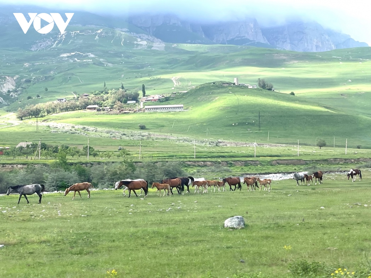 kham pha thien nhien tuyet dep vung bac kavkaz, nga hinh anh 8