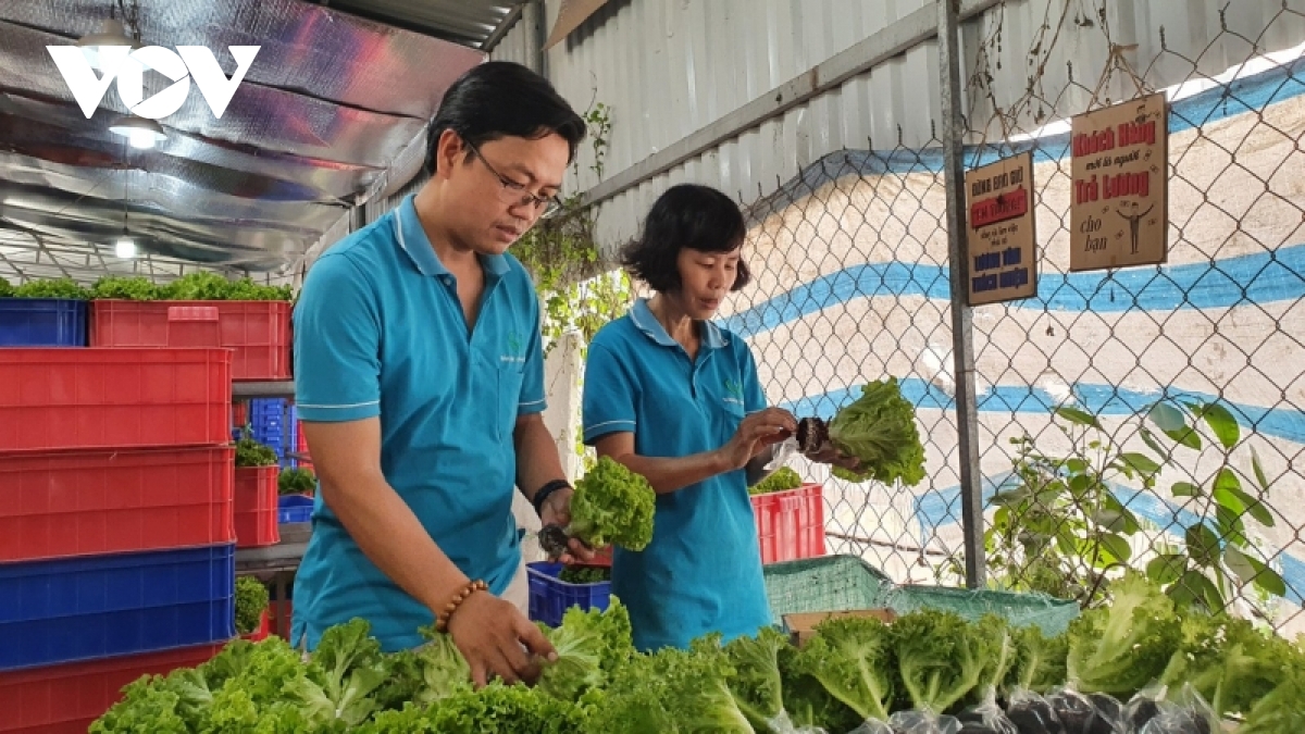 tu nhan vien ngan hang tro thanh ong chu vuon rau lon nhat tp.hcm hinh anh 1