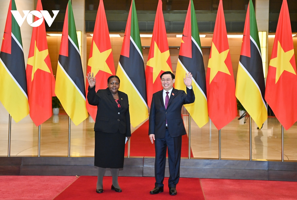 chu tich quoc hoi vuong Dinh hue hoi dam voi chu tich quoc hoi mozambique hinh anh 1