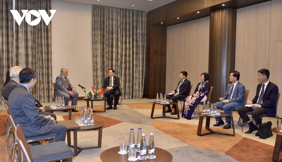 viet nam luon ghi nho, tran trong su giup do va ung ho quy bau cua hungary hinh anh 1